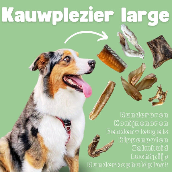 Nobleza - Kauwstangen voor honden, kip, opgerolde kabeljauwchips, natuurlijke hondensnacks, trainingslekkernijen voor honden, L 10 cm, 6 verpakkingen x 80 g