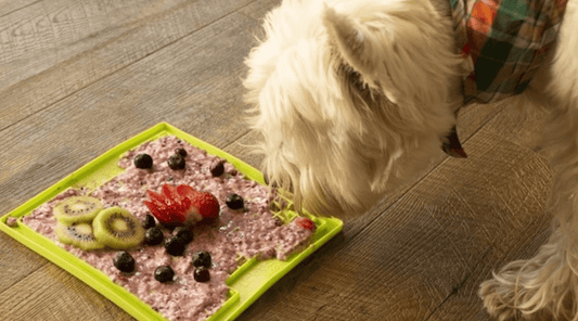 Likmat voor honden en katten en de voordelen