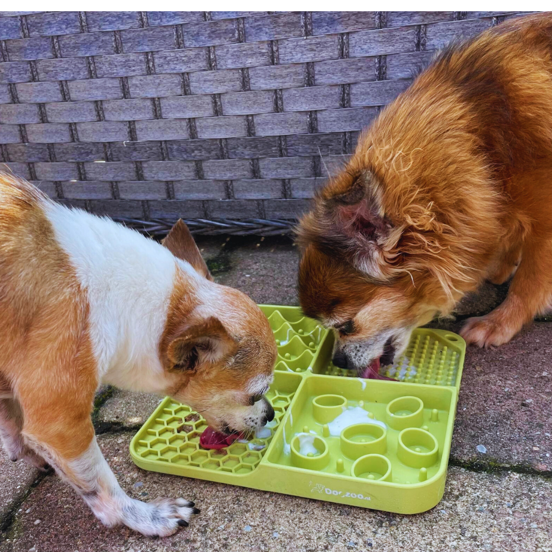 Voerbakken voor honden - Dierenspeelgoed kopen? | Korting tot 52