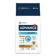 Advance Adult Labrador Retriever