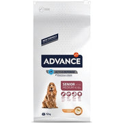 Advance Medium Senior