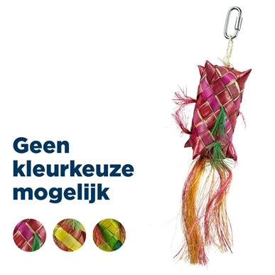 Back Zoo Nature Carnival Pinata