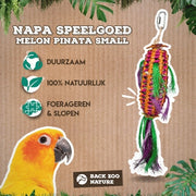 Back Zoo Nature Melon Pinata