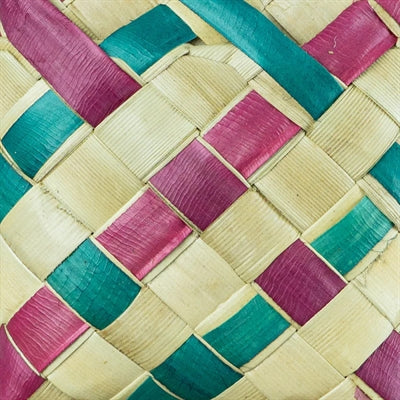 Back Zoo Nature Surprise Boxes