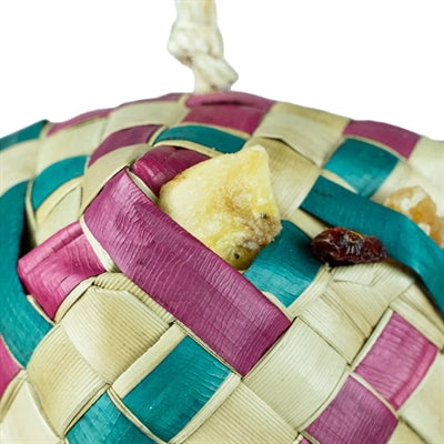 Back Zoo Nature Surprise Boxes