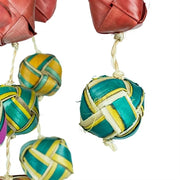 Back Zoo Nature Surprise Boxes