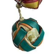 Back Zoo Nature Surprise Boxes