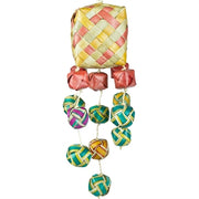 Back Zoo Nature Surprise Boxes