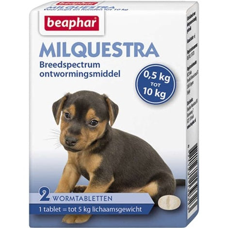 Beaphar Milquestra Kleine Hond / Pup