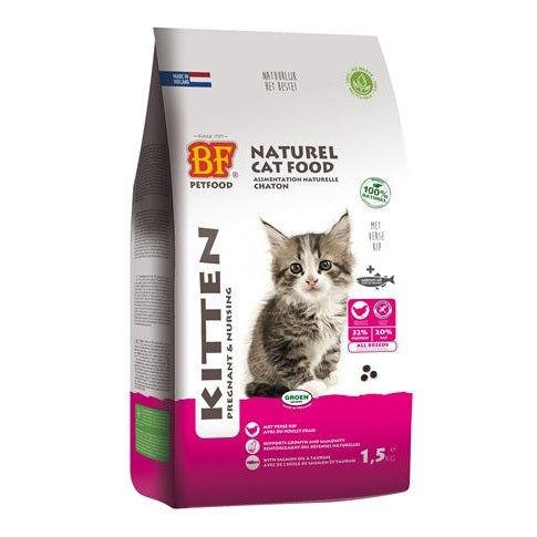 Bf Petfood Premium Quality Kat Kitten Pregnant / Nursing
