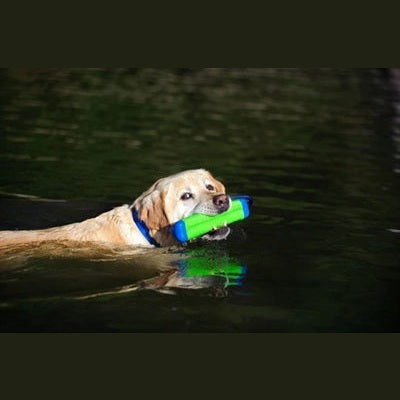 Chuckit Amphibious Bumper Assorti