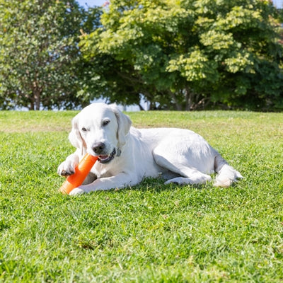 Chuckit Super Crunch Stick
