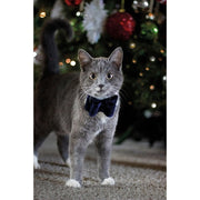 Cupid & Comet Luxury Vlinderstrik Fluweel Blauw