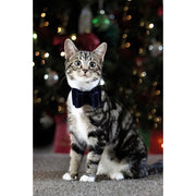 Cupid & Comet Luxury Vlinderstrik Fluweel Blauw