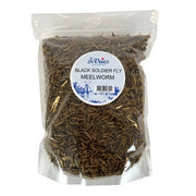 De Vries Meelworm Black Soldier Fly
