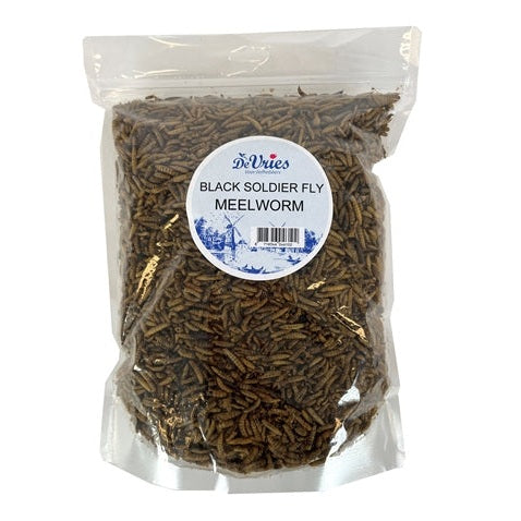 De Vries Meelworm Black Soldier Fly