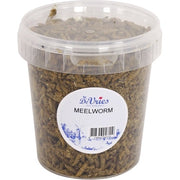 De Vries Meelworm Black Soldier Fly