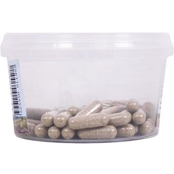 Dierendrogist Echinacea Bio Capsules