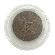 Dierendrogist Groenlipmossel Extract Veterinair