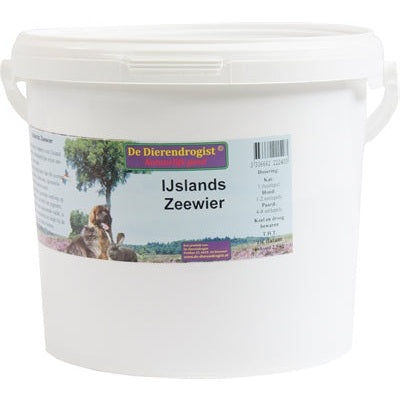 Dierendrogist Ijslands Zeewier