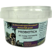Dierendrogist Probiotica Capsules