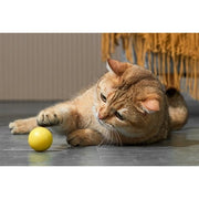 Eti Dynamische Speelbal Kat Assorti