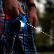 Flexi Lichtsysteem Voor Honden Led Usb Zwart