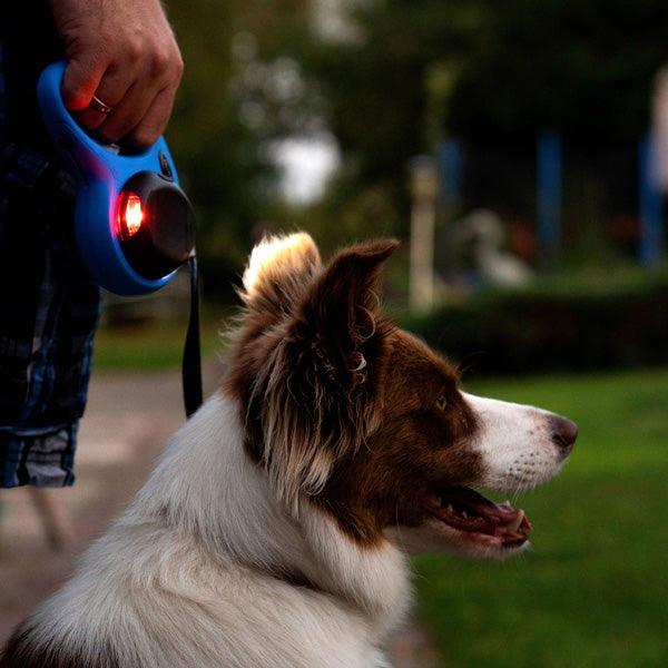 Flexi Lichtsysteem Voor Honden Led Usb Zwart
