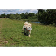 Happy Pet Migrator Pluche Wilde Eend