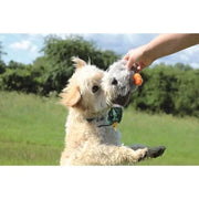 Happy Pet Migrator Pluche Wilde Eend