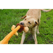 Happy Pet Wild Crinkler Leeuw 60X14X9 Cm