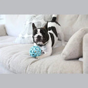 Jw Hol-Ee Roller Trend-Ee Blauw