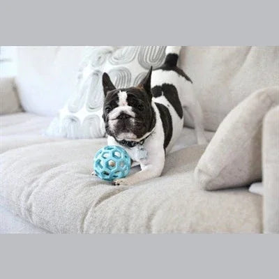 Jw Hol-Ee Roller Trend-Ee Blauw