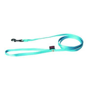 Martin Hondenriem Nylon Turquoise