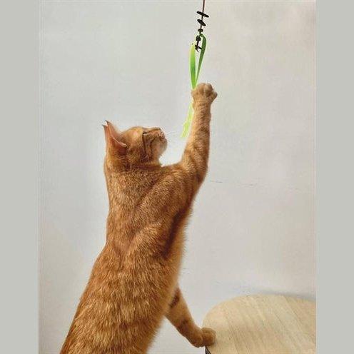 Martin Kattenspeelgoed Jason Gerecycled Assorti