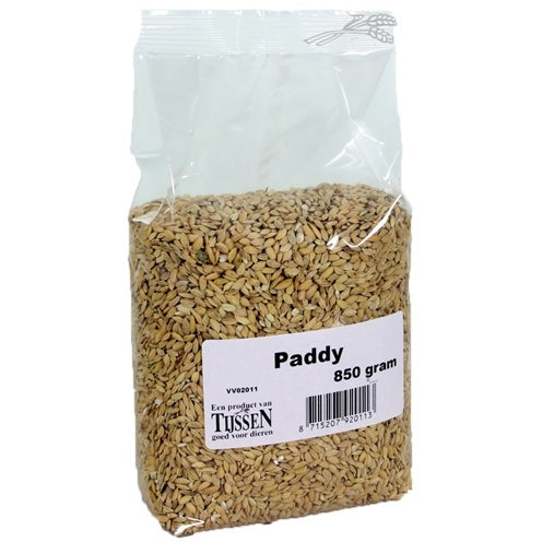 Merkloos Paddy