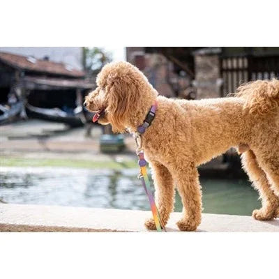 Morso Halsband Gerecycled Spring Blossom