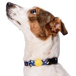 Morso Halsband Hond Gerecycled Color Invaders Paars