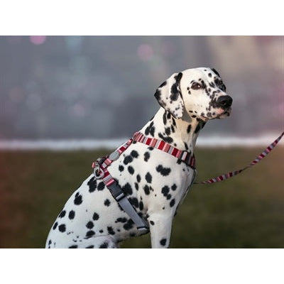 Morso Hondenriem Verstelbaar Gerecycled Skyline Rood / Roze