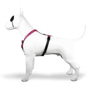 Morso Hondentuig H-Tuig Gerecycled Bubble Leo Roze