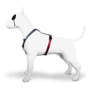 Morso Hondentuig H-Tuig Gerecycled Power Flow Zwart