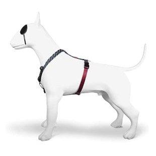 Morso Hondentuig H-Tuig Gerecycled Power Flow Zwart