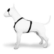 Morso Hondentuig H-Tuig Gerecycled Pureness Zwart