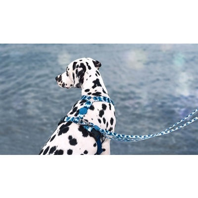 Morso Hondentuig H-Tuig Gerecycled Splash Blauw