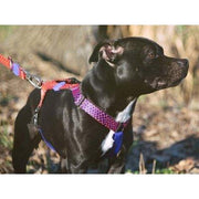 Morso Hondentuig H-Tuig Gerecycled Urban Lizard Rood