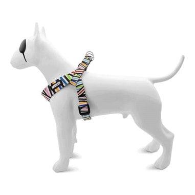 Morso Mini Hondentuig Verstelbaar Gerecycled Spaghetti Incident