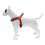 Morso Mini Hondentuig Verstelbaar Gerecycled Urban Lizard Rood