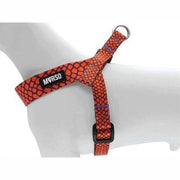 Morso Mini Hondentuig Verstelbaar Gerecycled Urban Lizard Rood