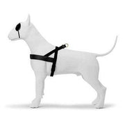 Morso Norwegian Hondentuig Gerecycled Gold Caviar Goud