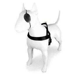 Morso Norwegian Hondentuig Gerecycled Gold Caviar Goud